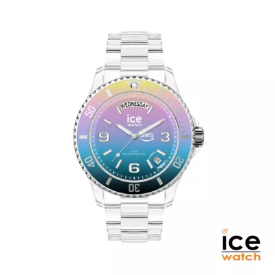 Ice Watch® Daydate Watch