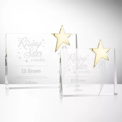 Bradenton Gold Star Award