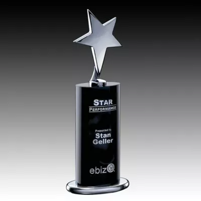 Mendocino Award