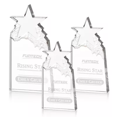 Augustine Award