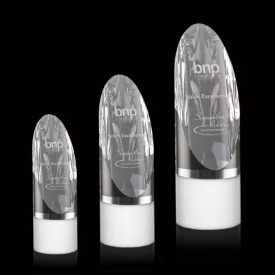 Faccini Award