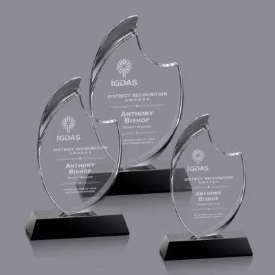Waldorf Award