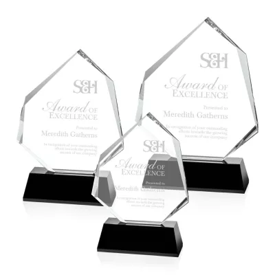 Warner Award - Black