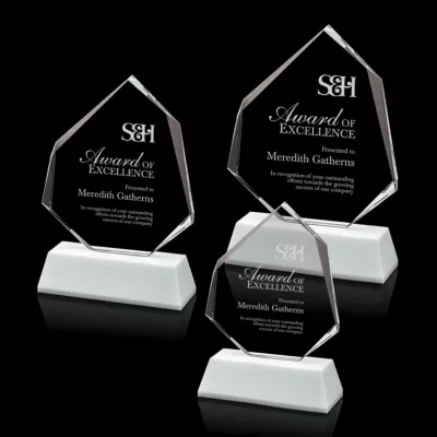 Warner Award - White