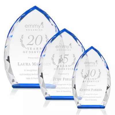 Wilton Award - Blue