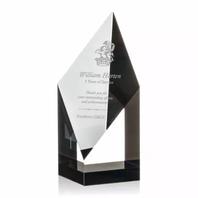Vertex Award - Black