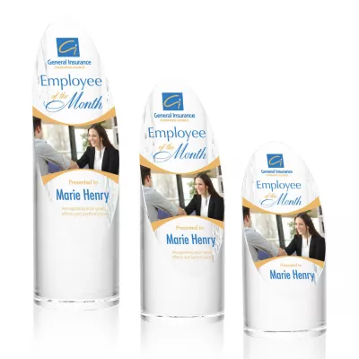 Lauder VividPrint™ Award