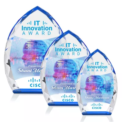 Wilton VividPrint™ Award - Blue