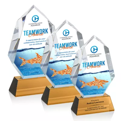 Norwood VividPrint™ Award on Newhaven Base - Amber