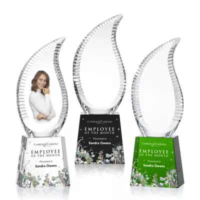 Harmony Flame VividPrint™ Award