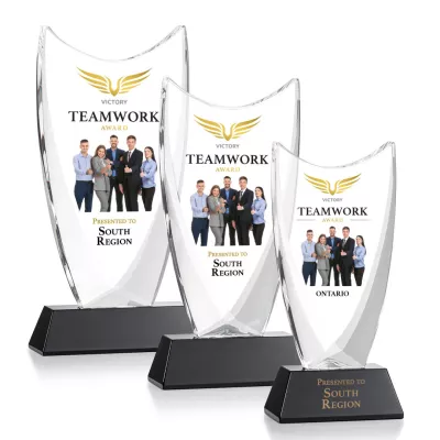 Dawkins VividPrint™ Award - Black