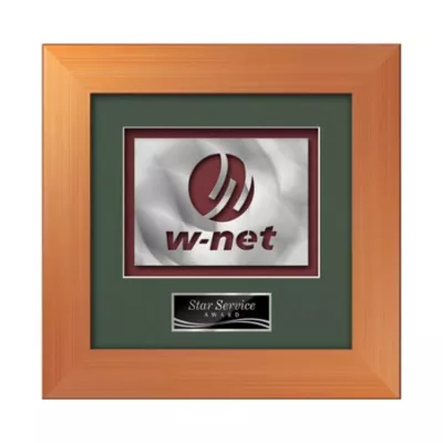 Premier Aquashape™ Award - Bronze