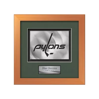 Eldridge Aquashape™ Award - Bronze