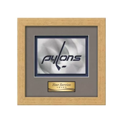 Eldridge Aquashape™ Award - Antique Gold
