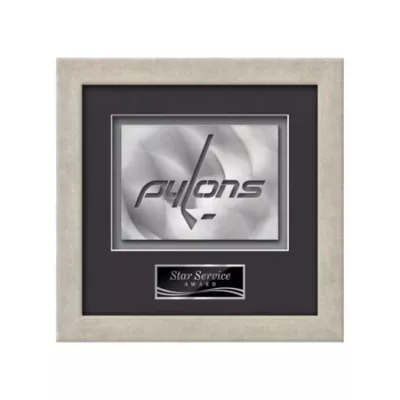 Eldridge Aquashape™ Award - Antique Silver