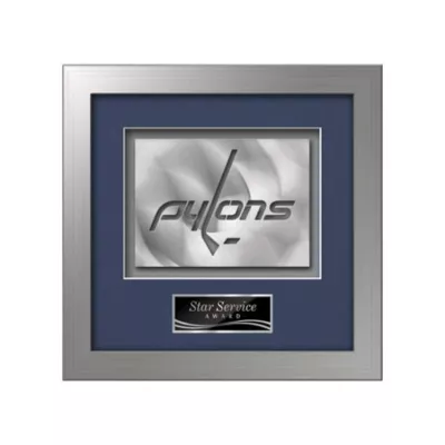 Eldridge Aquashape™ Award - Silver