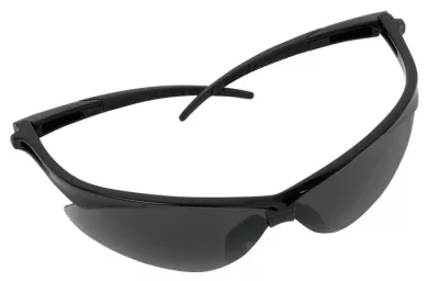 Bouton Anser Gray Glasses