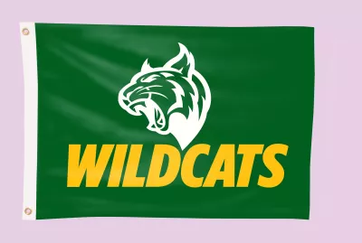 3-ft. H x 5-ft. W Team Flag (DOUBLE SIDED)