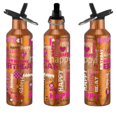 20 oz. Double Wall Stainless Steel Bottle with Leakproof Spout, Straw and Carry Handle