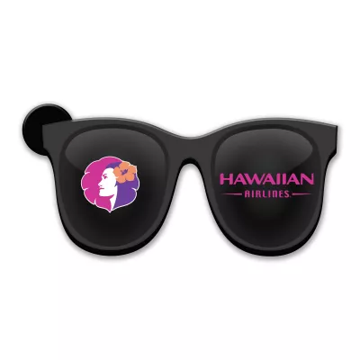 Sunglasses Magnet