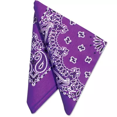 22" Bandannas (12 Pack)