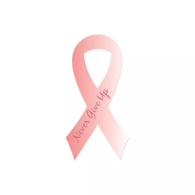 Ribbon Shaped Car Magnet