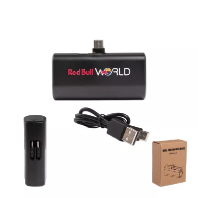 Dual Plug Power Bank
