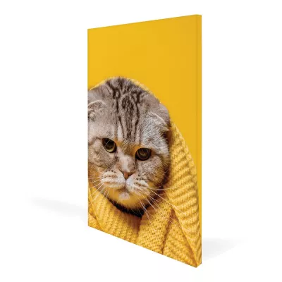 32x48 in. Canvas Frame (Graphic Package)