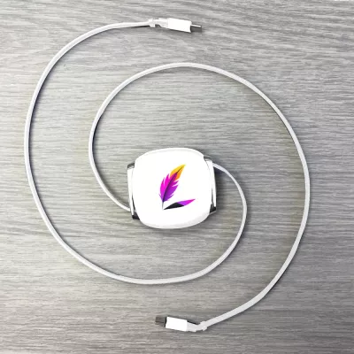Retractable Type-C to Type-C 100W Cable