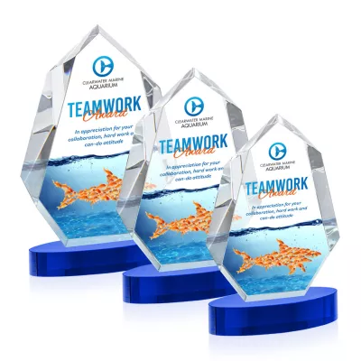 Norwood VividPrint™ Award on Alberton Base - Blue