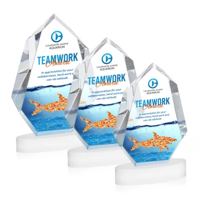 Norwood VividPrint™ Award on Alberton Base - White