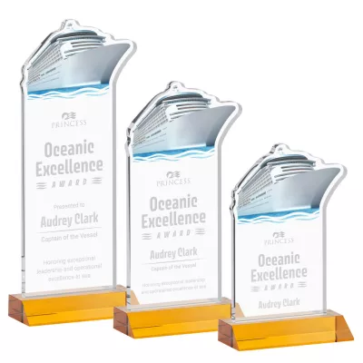 Voyager Award - Amber