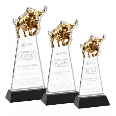 Raging Bull Award on Hartford Base - Black