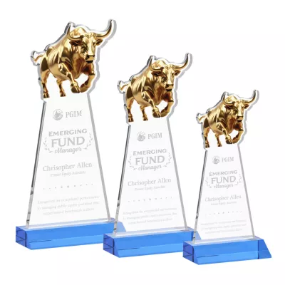 Raging Bull Award - Sky Blue