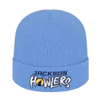 Knit Cap with Cuff