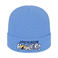 Knit Cap with Cuff