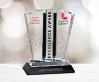Aristocrat Award 8-1/4"