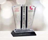 Aristocrat Award 8-1/4"