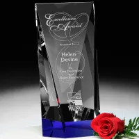Valera Indigo Award 9"