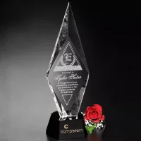 Chaska Award 11"