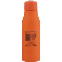 24 oz Arroyo Water Bottle (Matte Canyon)