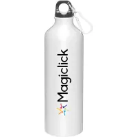 24 oz h2go Aluminum Classic Water Bottle (Silver)