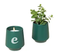 Modern Sprout Rooted Candle - Dark Teal-Thyme