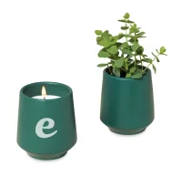 Modern Sprout Rooted Candle - Dark Teal-Thyme
