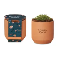 Modern Sprout Tiny Terracotta Grow Kit Thank You Daisies - Terracotta