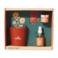 Modern Sprout Shine Bright Take Care Kit - Sunflower - Shine Bright Sunflower