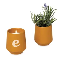 Modern Sprout Rooted Candle - Mustard-Lavender