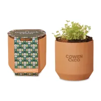 Modern Sprout Tiny Terracotta Grow Kit Good Luck Clover - Terracotta