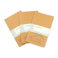 Moleskine Large Cahier 3-Pack - Kraft