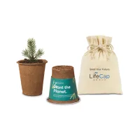Modern Sprout? One For One Tree Kits - Spruce